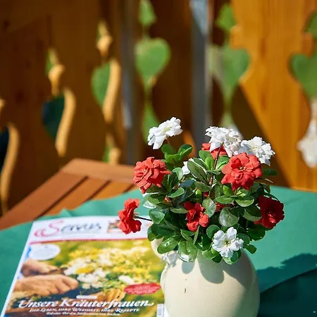 Dopplerstubn アパート *