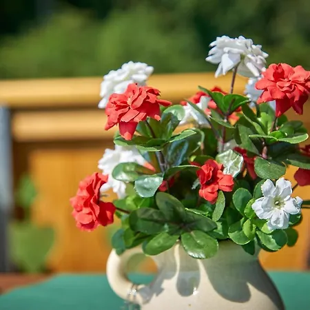 Dopplerstubn * Agsdorf