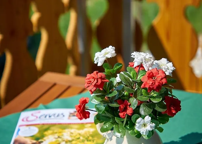 Dopplerstubn Apartamento *